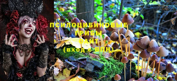 соль курить ск Пролетарск